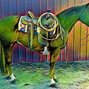 Meet your Posher, Joshua